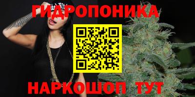сатива Лесосибирск