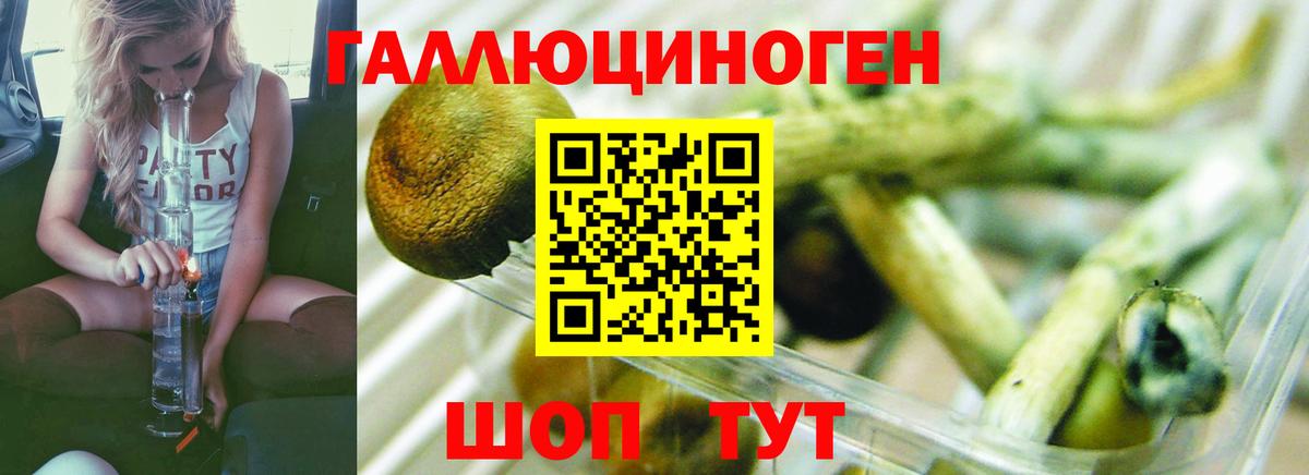 Галлюциногенные грибы ЛСД  Вход с VPN  Энгельс  Галлюциногенные грибы MAGIC MUSHROOMS 