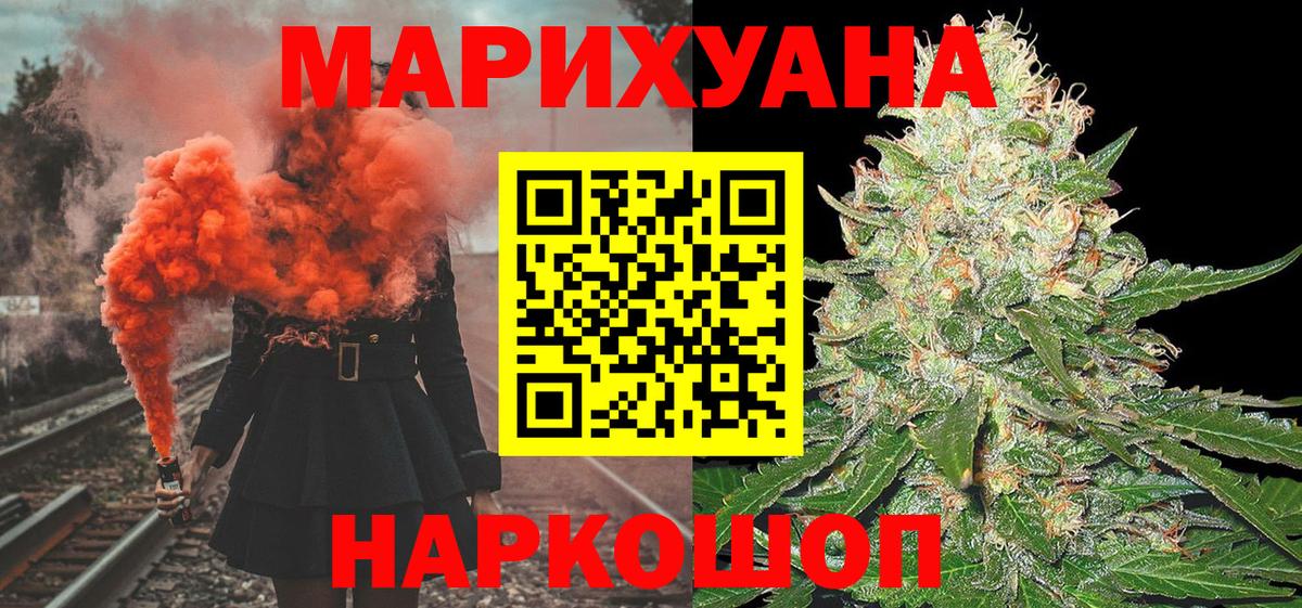 Каннабис сатива Энгельс